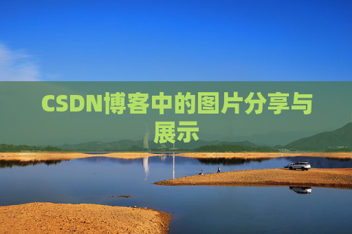 CSDN博客中的图片分享与展示